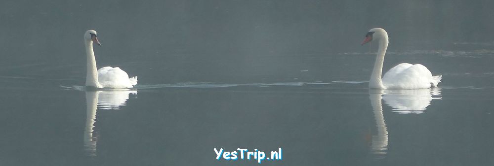 xxx From Peyrehorade to Jean de Luz